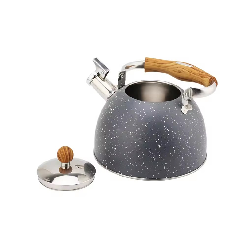 Stainless Steel Tea Kettle