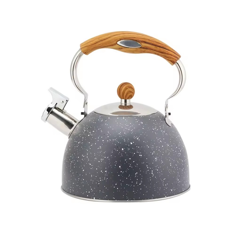 Stainless Steel Tea Kettle