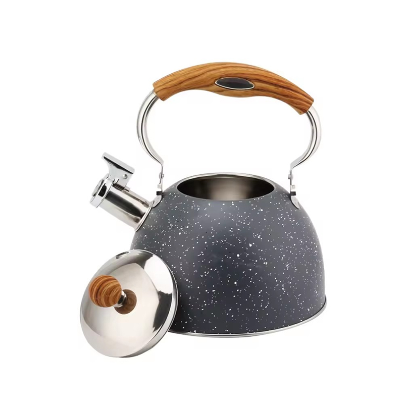 Stainless Steel Tea Kettle