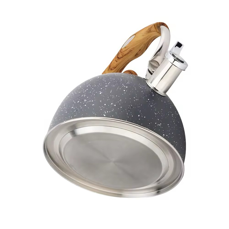 Stainless Steel Tea Kettle