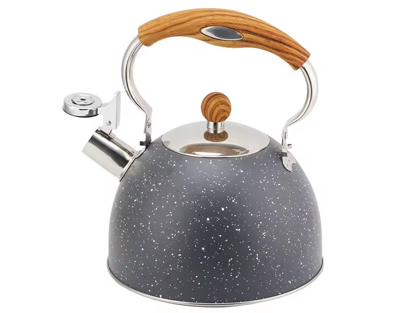 Stainless Steel Tea Kettle