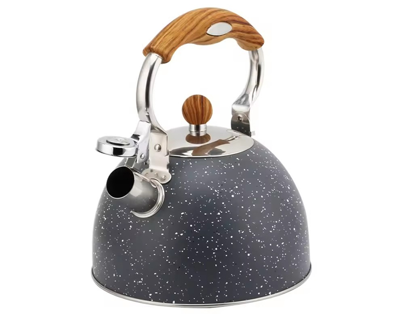 Stainless Steel Tea Kettle