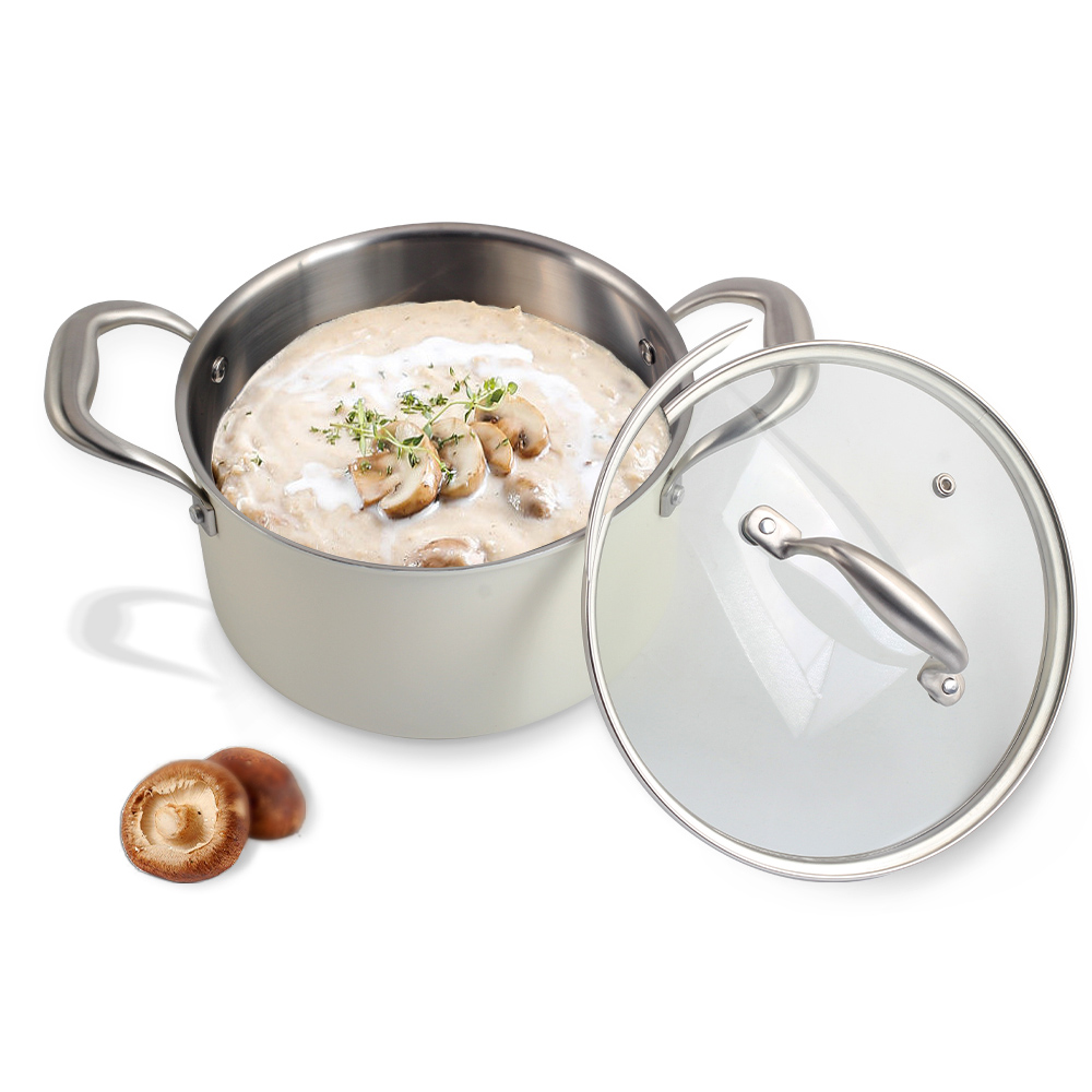 Tri-Ply Stainless Steel 5 Qt Stock Pot With Lid