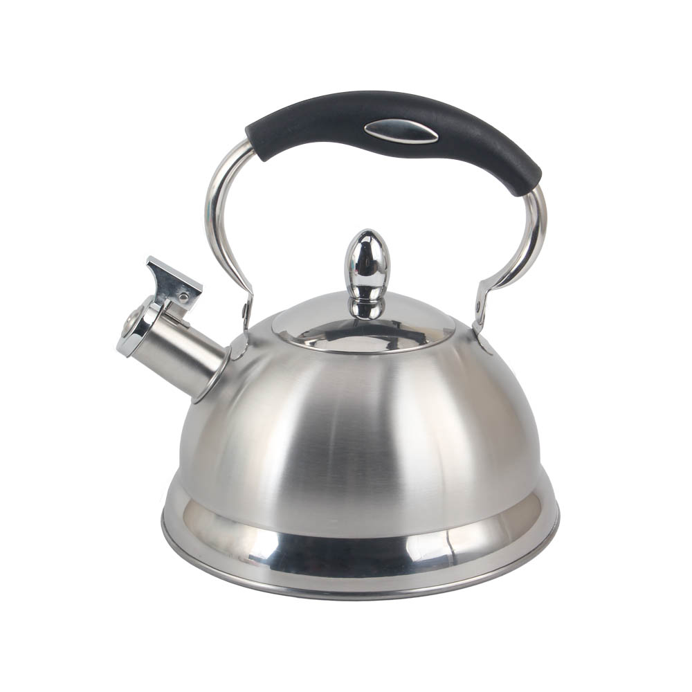 Stainless Steel whistling Kettle