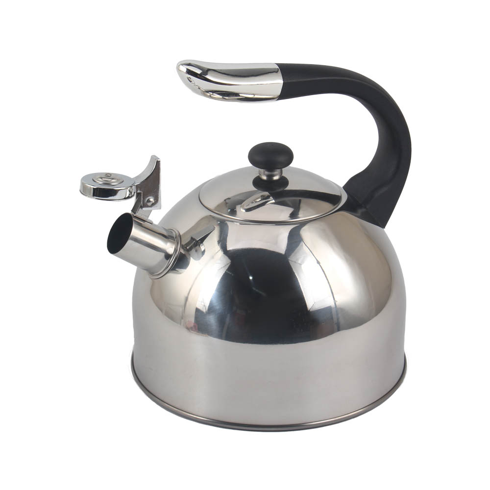 Stainless Steel whistling Kettle