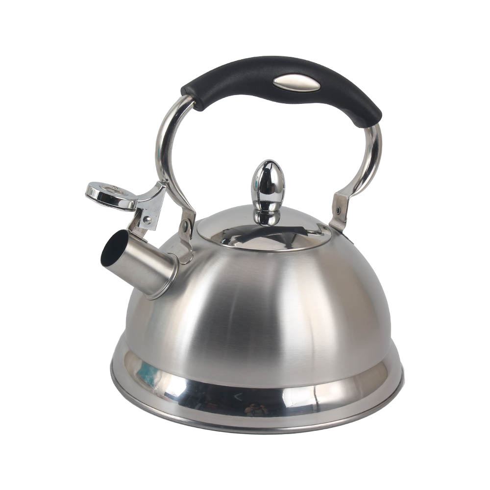 Stainless Steel whistling Kettle