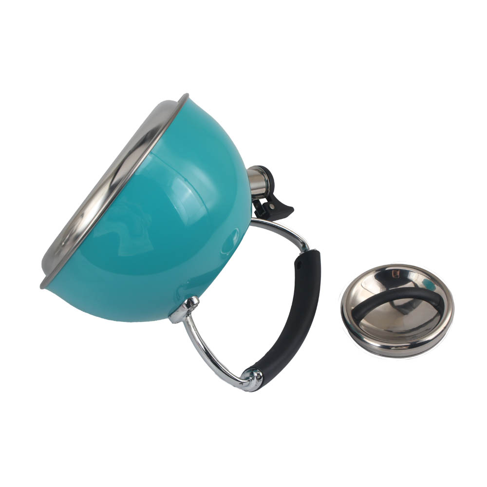 Stainless Steel whistling Kettle