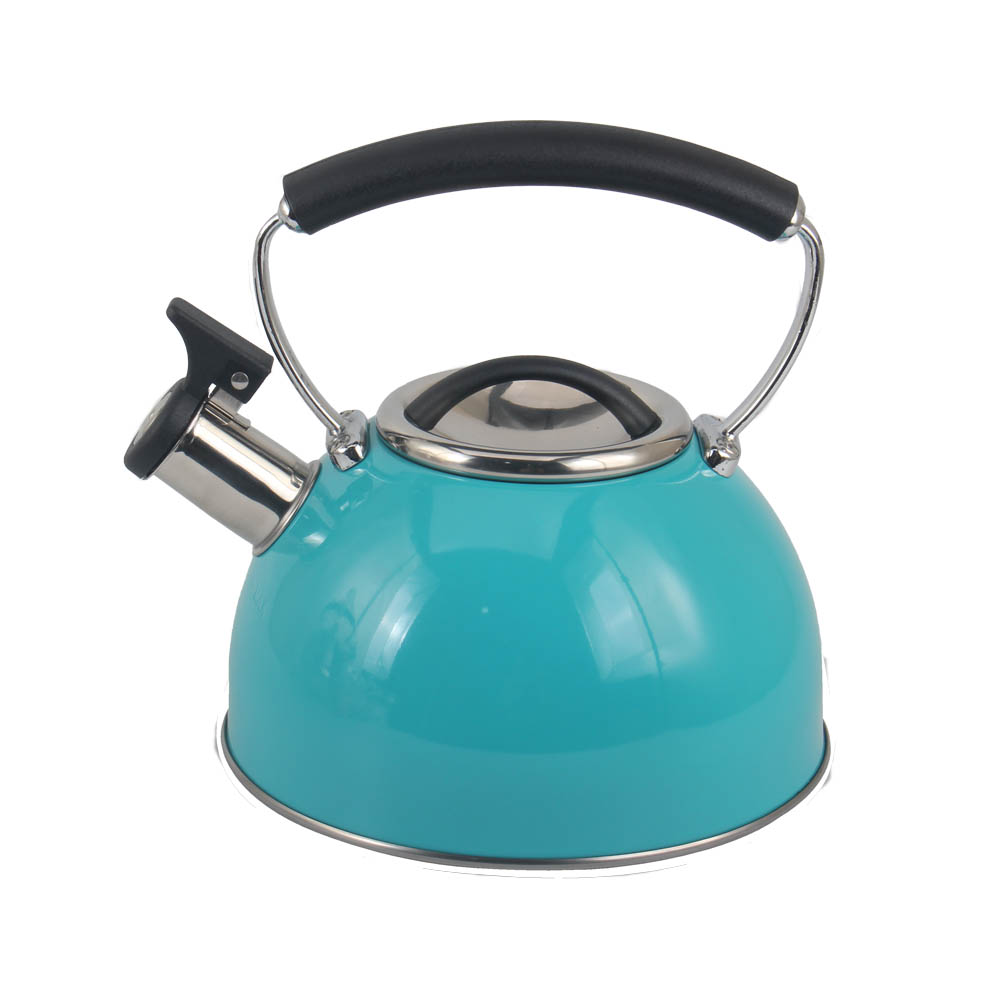 Stainless Steel whistling Kettle