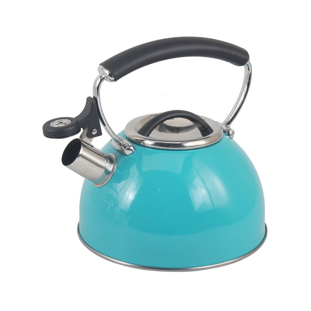 Stainless Steel whistling Kettle