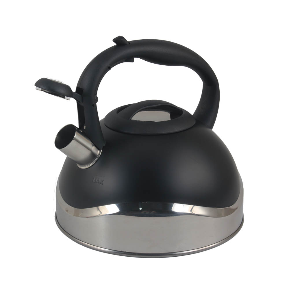 Stainless Steel whistling Kettle