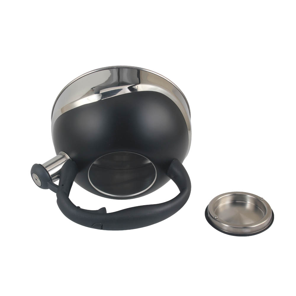 Stainless Steel whistling Kettle