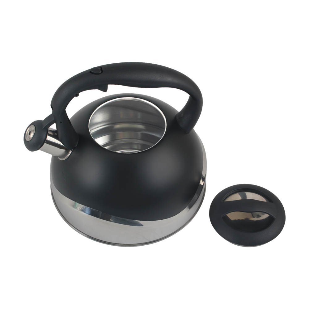 Stainless Steel whistling Kettle