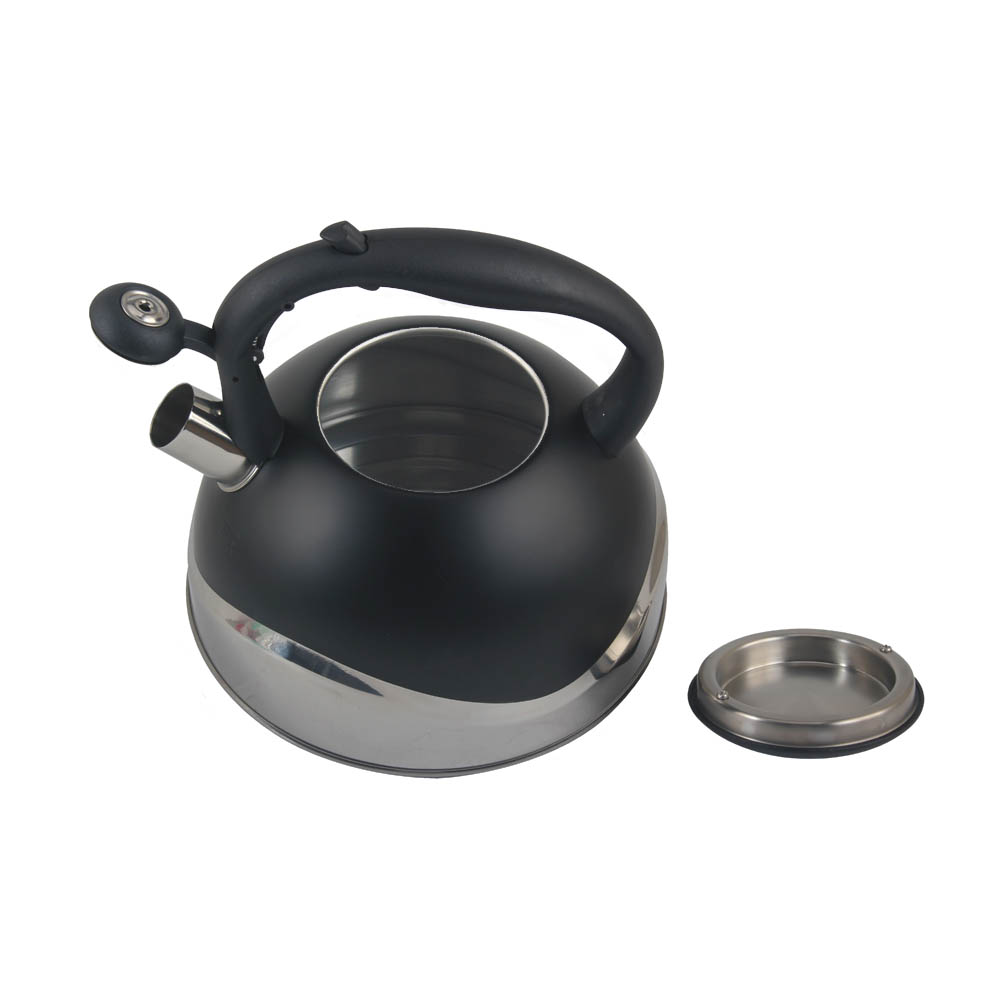 Stainless Steel whistling Kettle