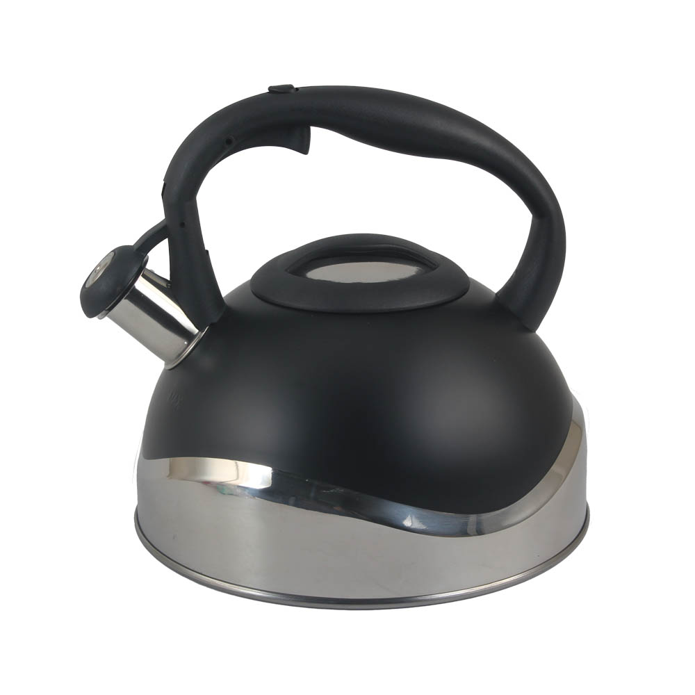 Stainless Steel whistling Kettle