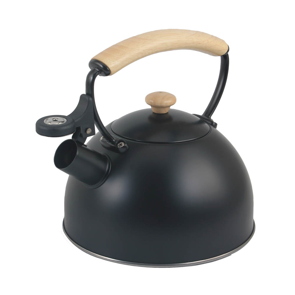 Stainless Steel whistling Kettle