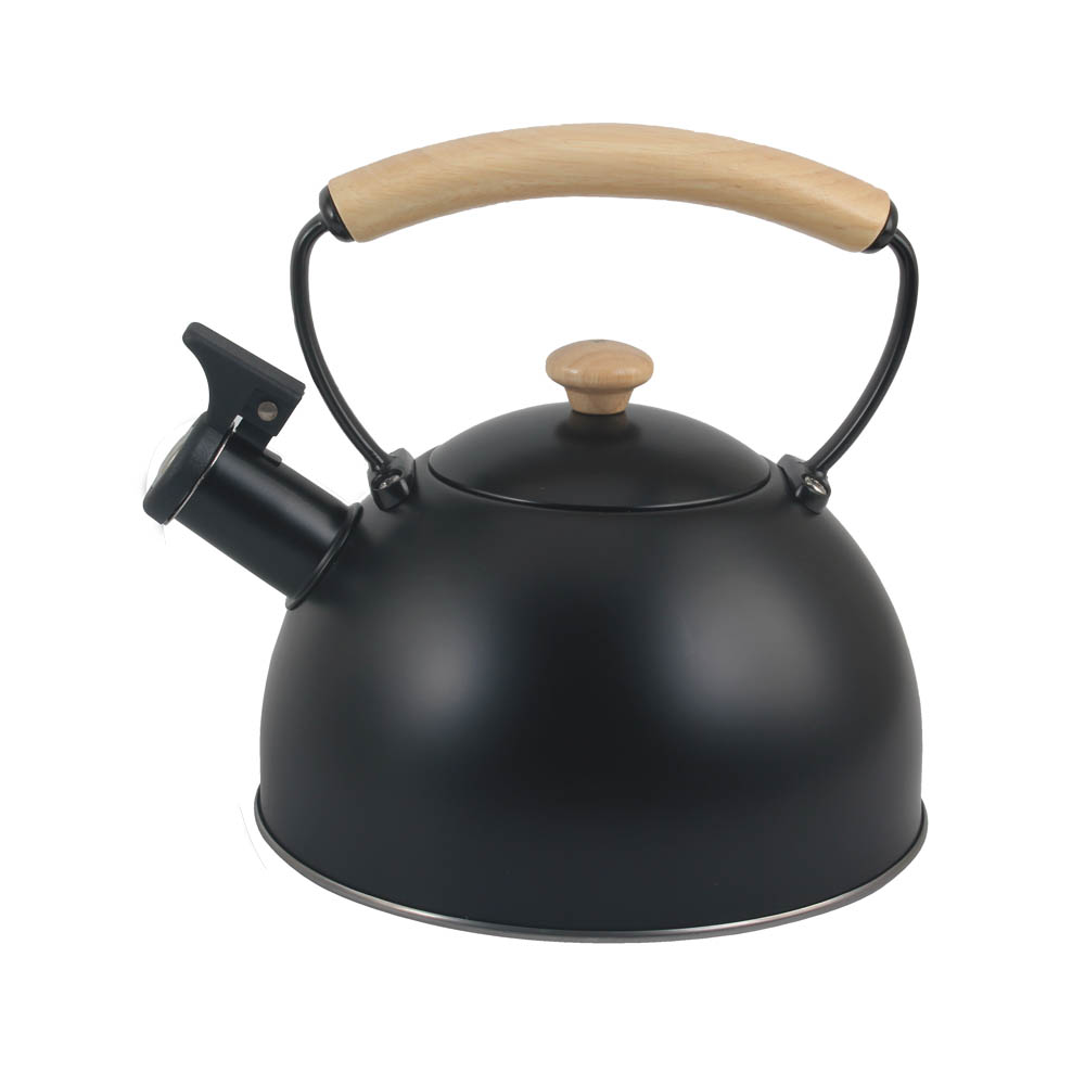 Stainless Steel whistling Kettle