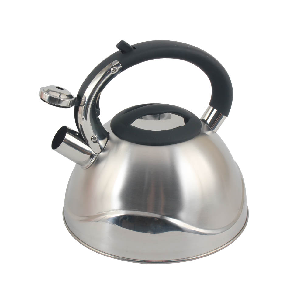 Stainless Steel whistling Kettle