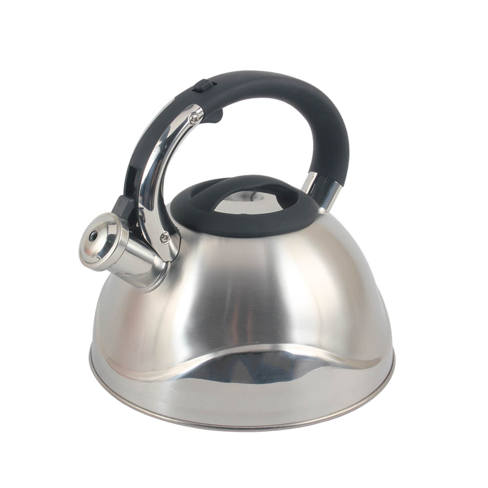 Stainless Steel whistling Kettle