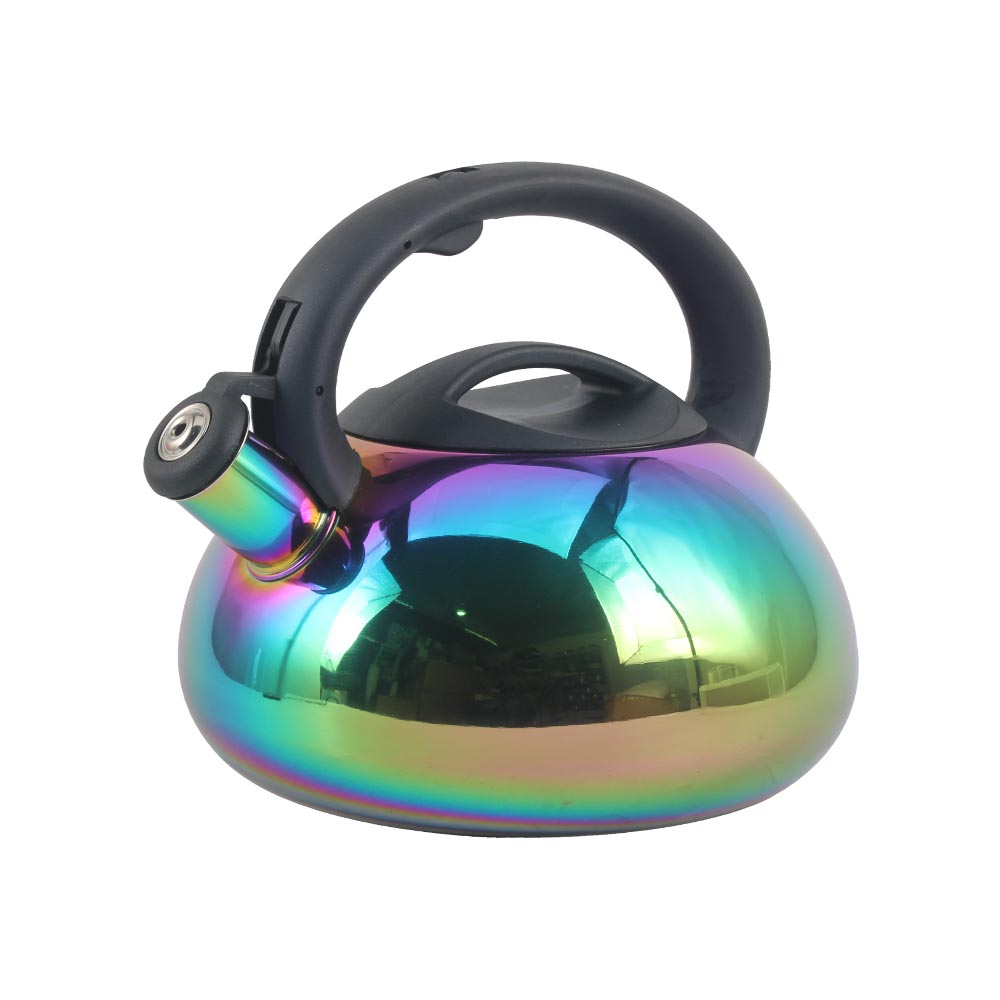 Stainless Steel whistling Kettle