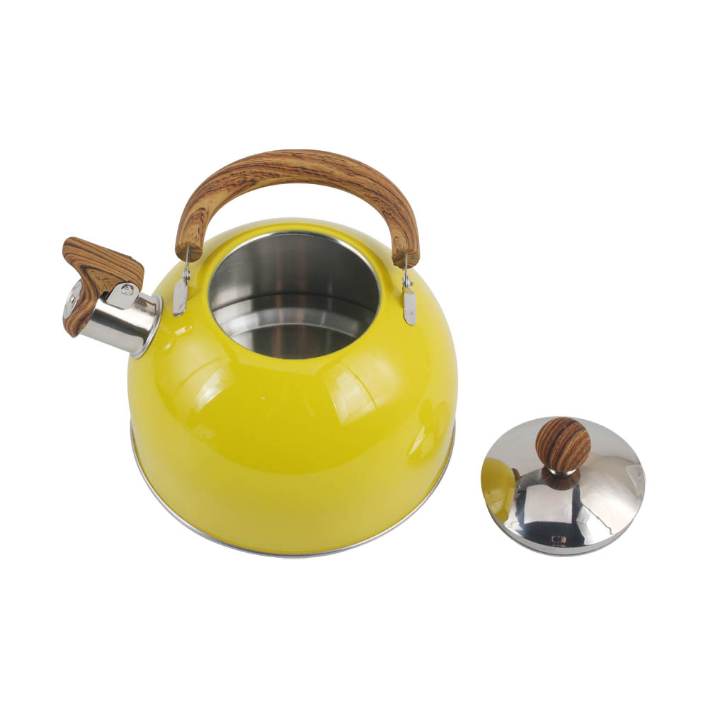 Stainless Steel whistling Kettle