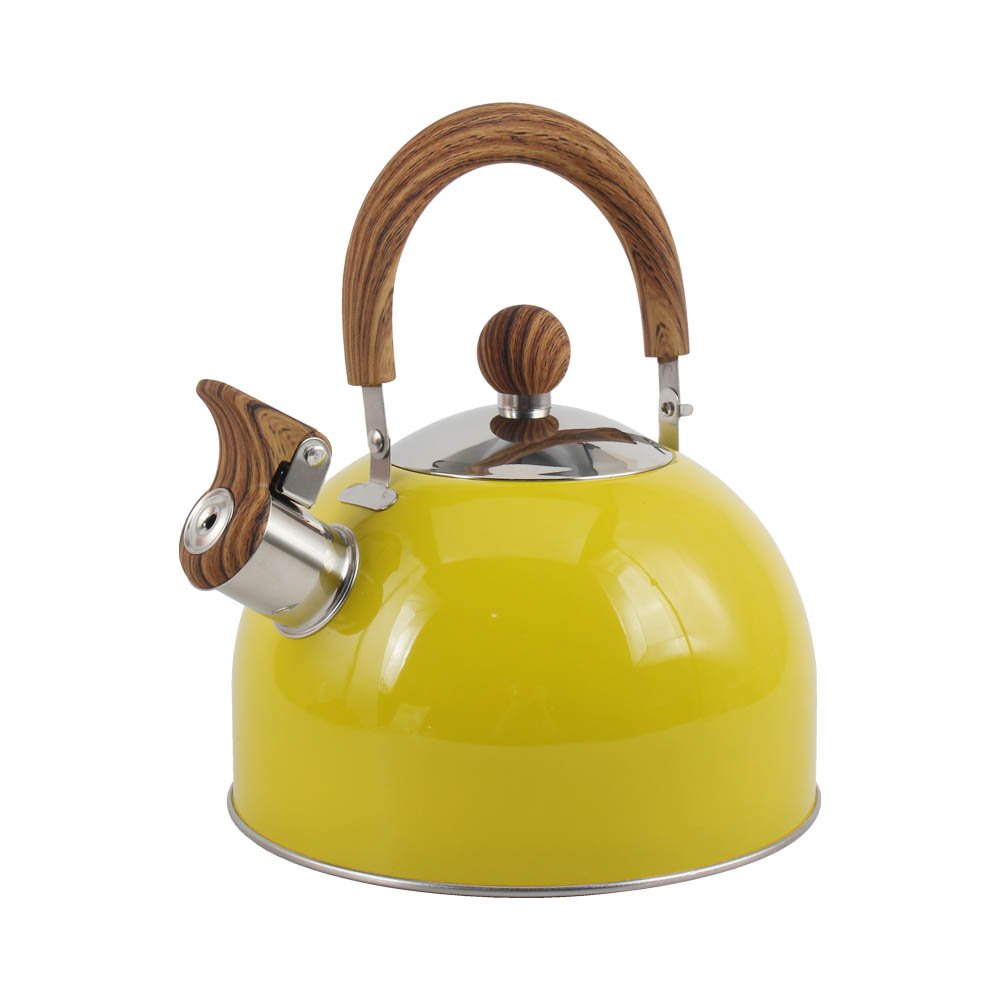 Stainless Steel whistling Kettle