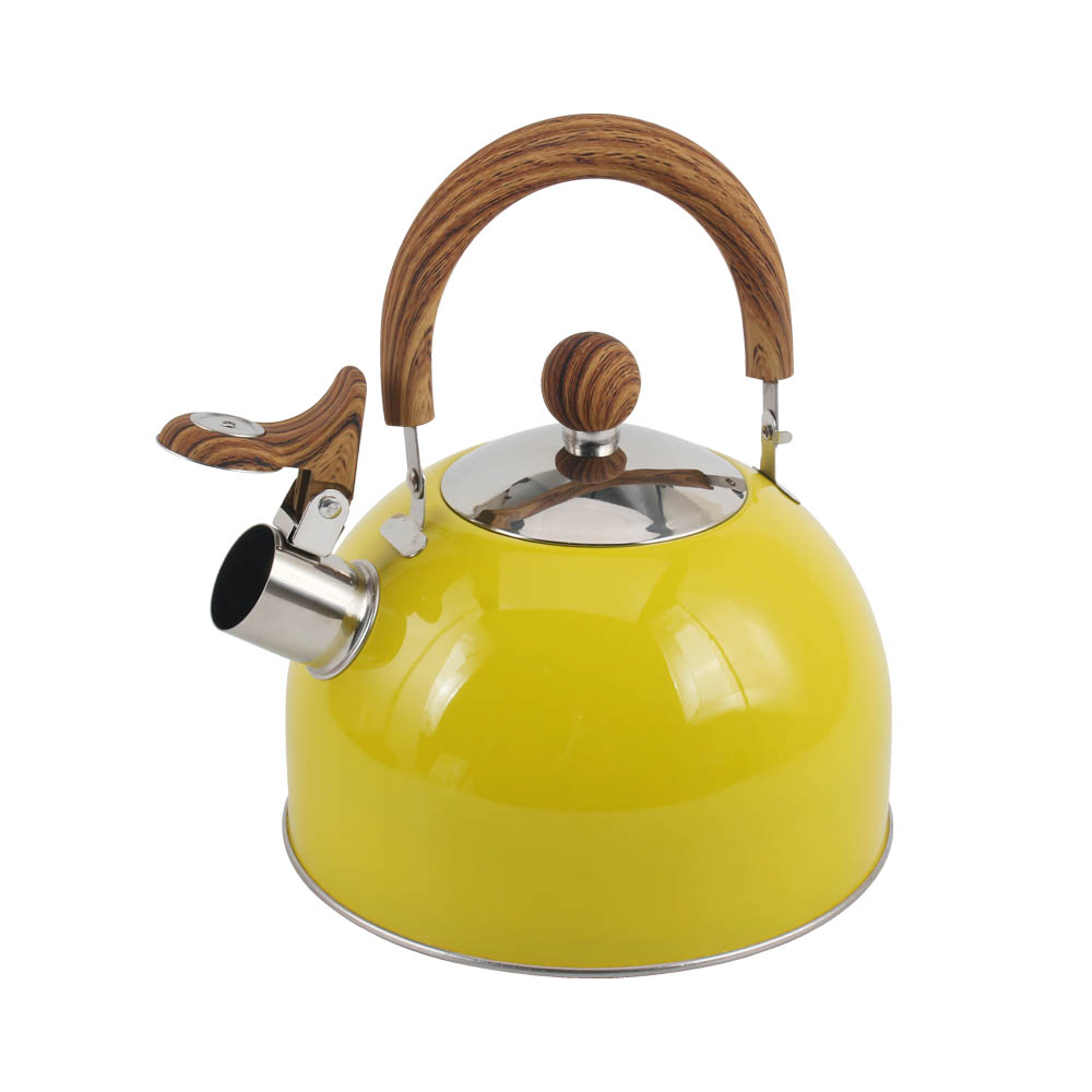 Stainless Steel whistling Kettle