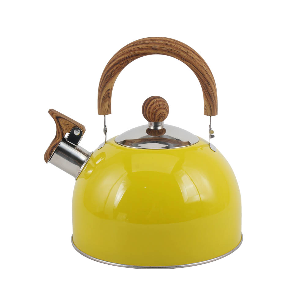 Stainless Steel whistling Kettle