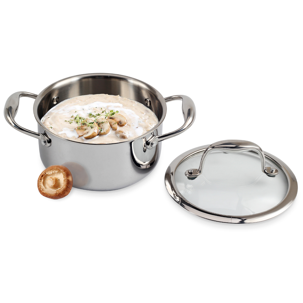 Stainless Steel Stock Pot