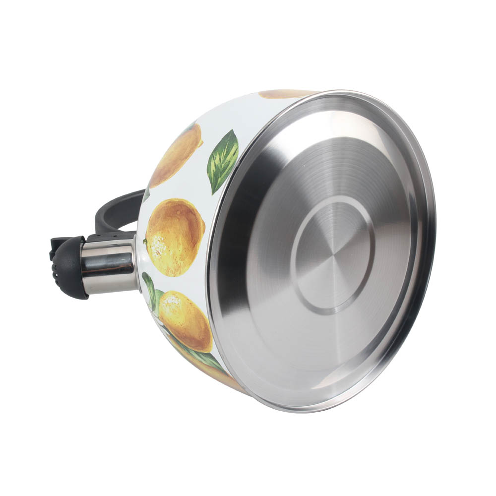 Stainless Steel whistling Kettle