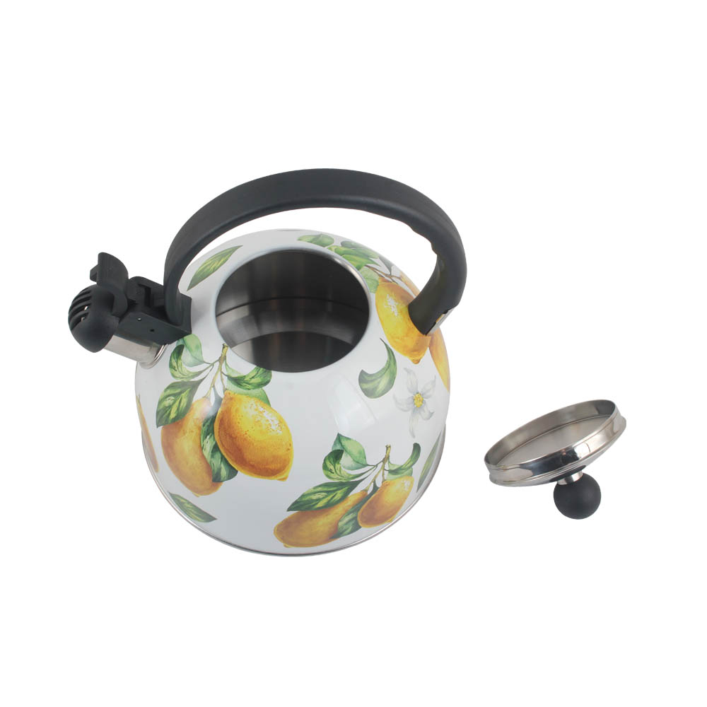 Stainless Steel whistling Kettle