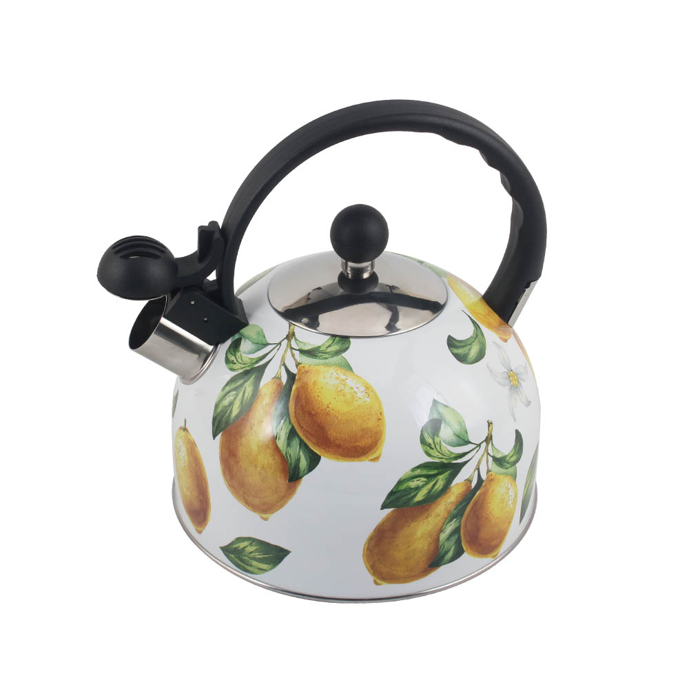 Stainless Steel whistling Kettle