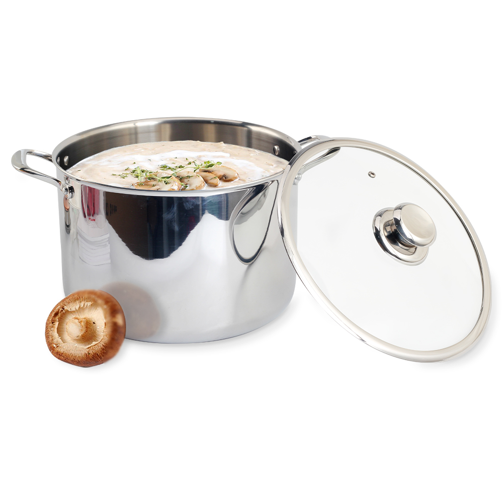 Stainless Steel Tri-Ply Stockpot With Lid, Induction, Oven, Gas And Dishwasher Safe