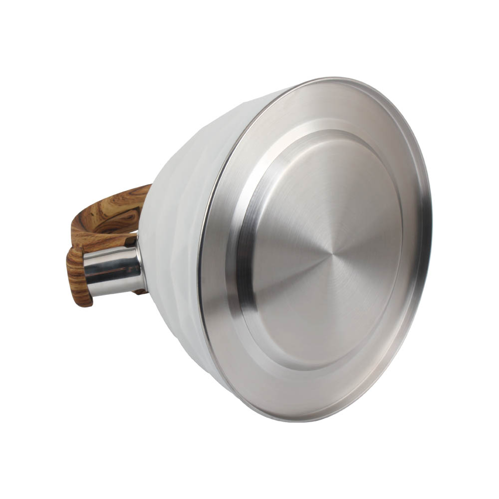 Stainless Steel whistling Kettle