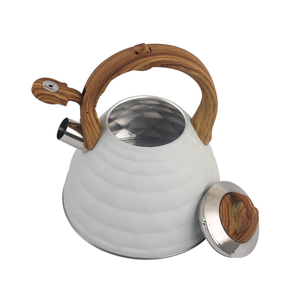 Stainless Steel whistling Kettle