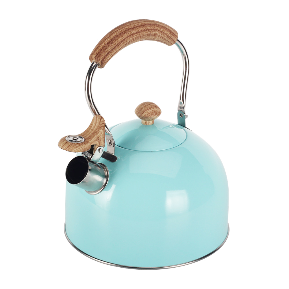 Stainless Steel whistling Kettle