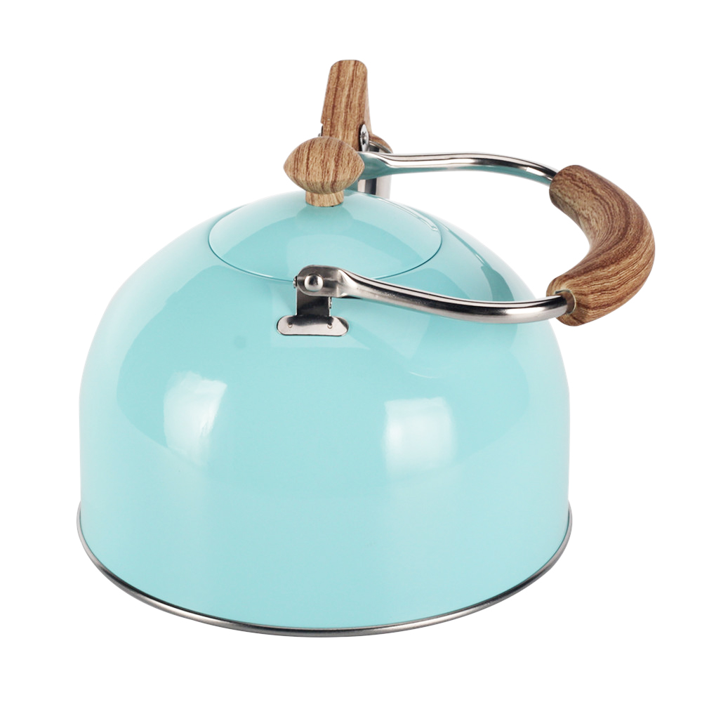 Stainless Steel whistling Kettle