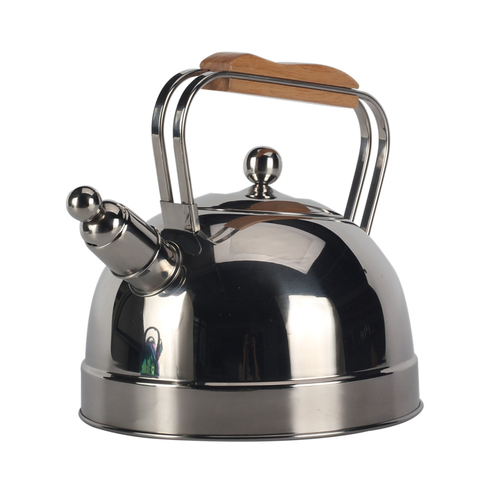 Stainless Steel whistling Kettle