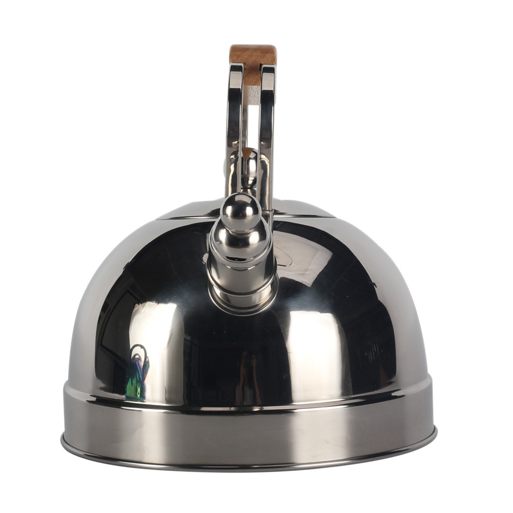 Stainless Steel whistling Kettle