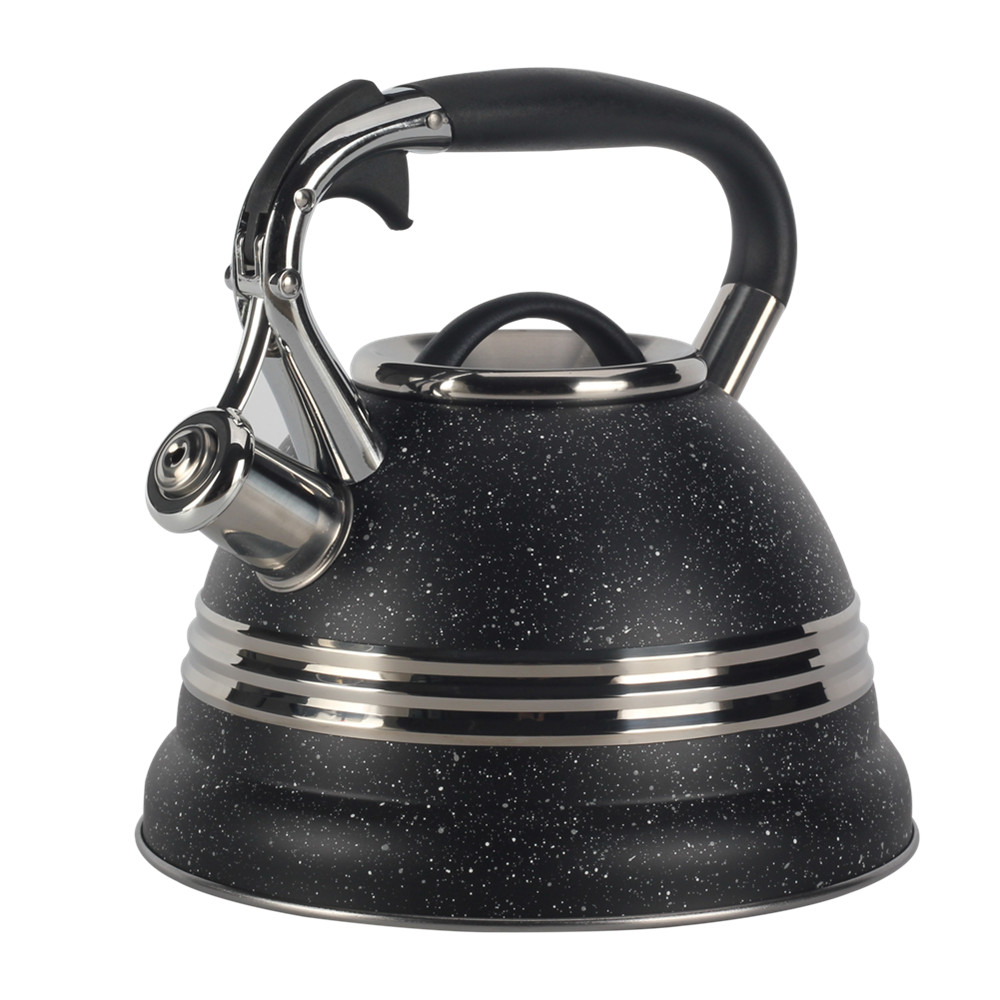 Stainless Steel whistling Kettle