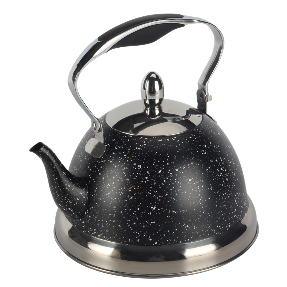 Stainless Steel whistling Kettle