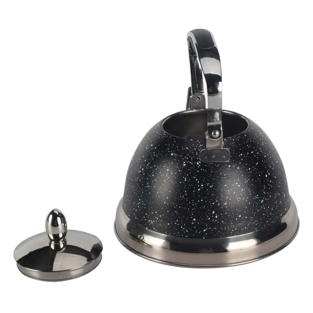 Stainless Steel whistling Kettle