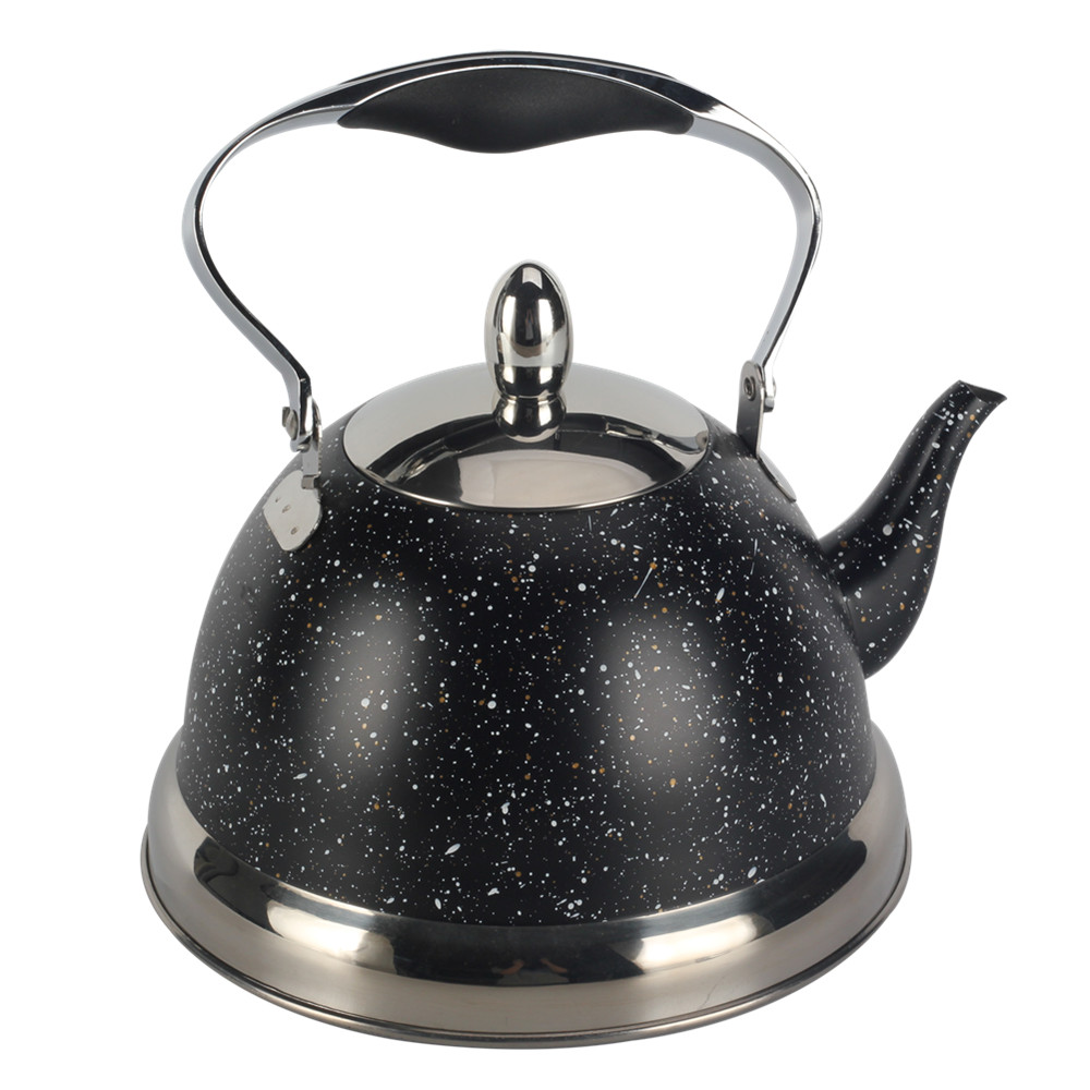 Stainless Steel whistling Kettle