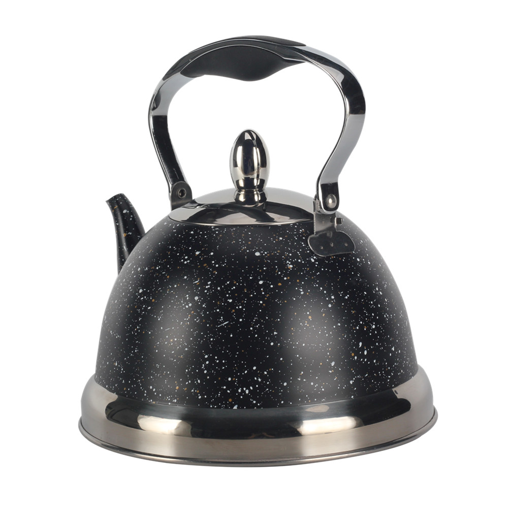 Stainless Steel whistling Kettle