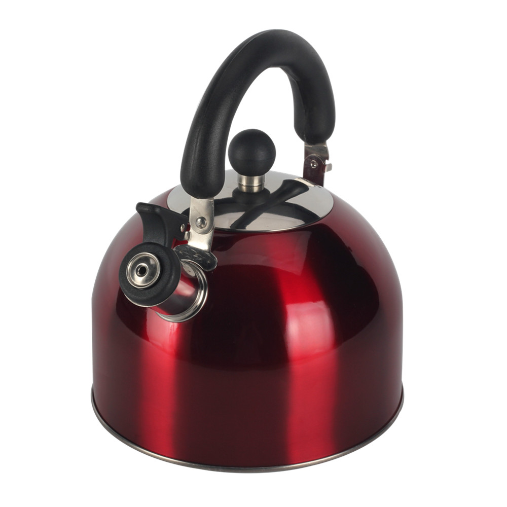 Stainless Steel whistling Kettle