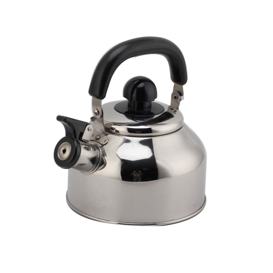 Stainless Steel Whistling Tea Kettle