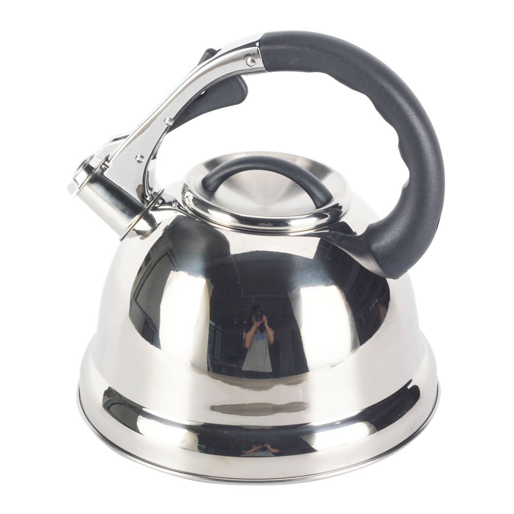 3.0 Litre Stainless Steel Whistling Tea Kettle