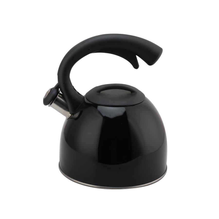 Stainless Steel Whistling Kettle (Black)