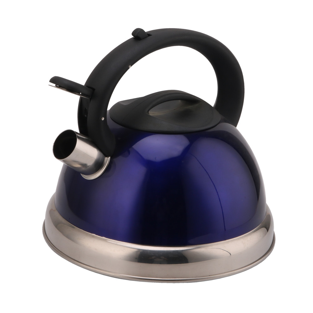 3L Stainless Steel Whistling Kettle for Kitchen