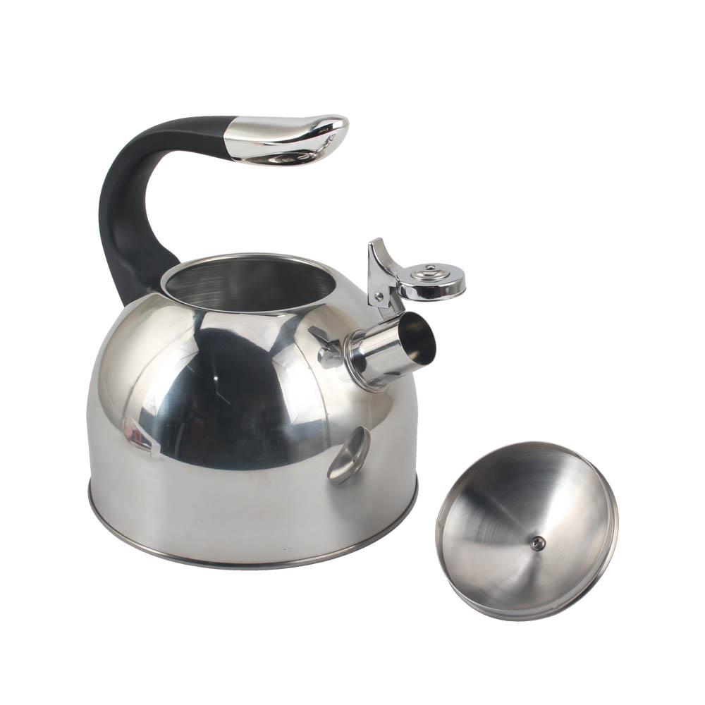 Stainless Steel Whistling Kettle (Silver)