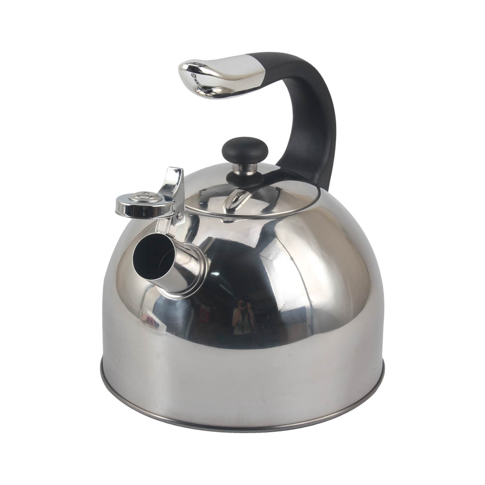 Stainless Steel Whistling Kettle (Silver)